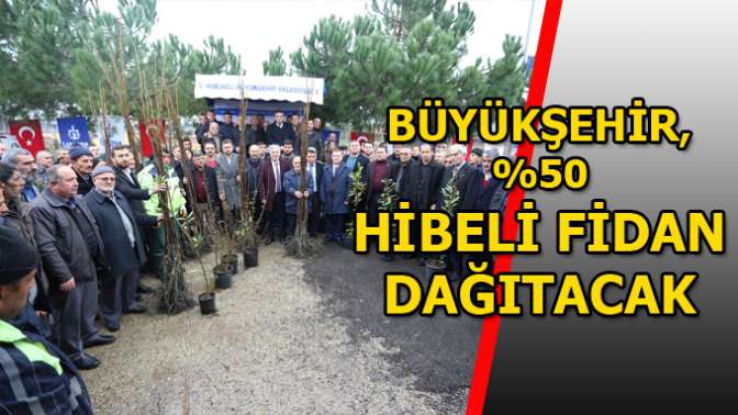 175 bin fidan dağıtıldı