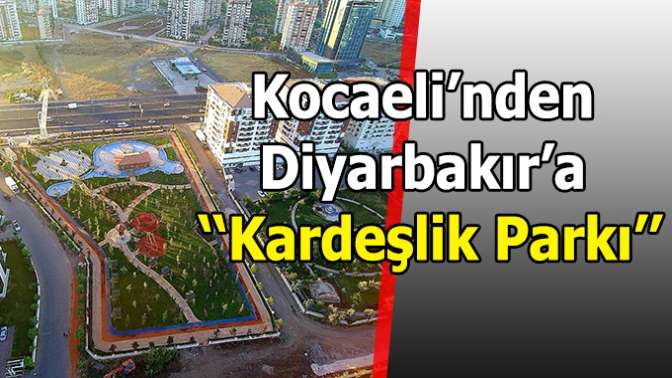 300 ADET AĞAÇ