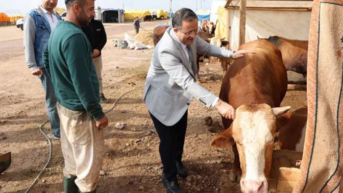 Başkan Gökçe, Kurban Pazarı’nı gezdi