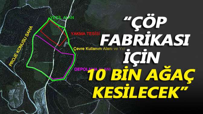 Çöp fabrikası için 10 bin ağaç kesilecek