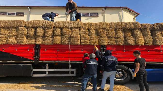 Deprem bölgesine 1.590 çuval yem gönderildi