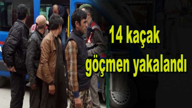 Dilovasında Afganistan uyruklu 14 kaçak göçmen