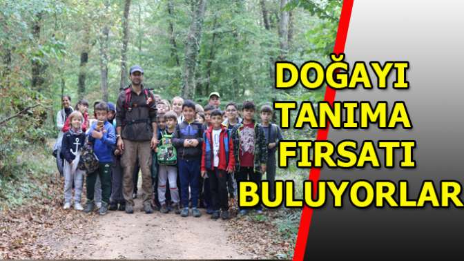 Doğa kaşifleri Ormanyada