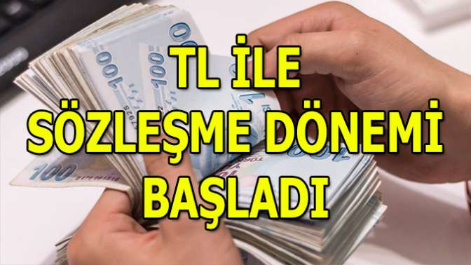 DÖVİZE ENDEKSLİ