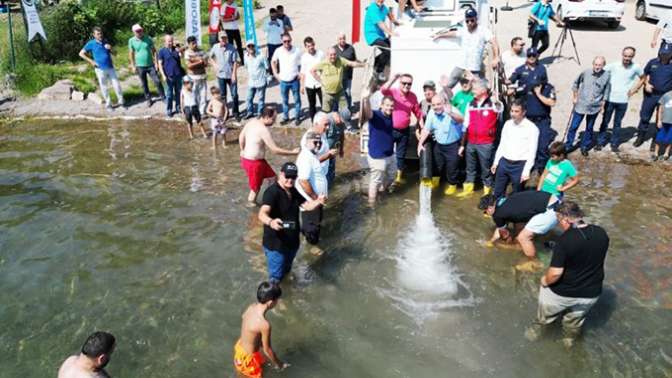 Eşmede Sapanca Gölüne 100 bin sazan salındı