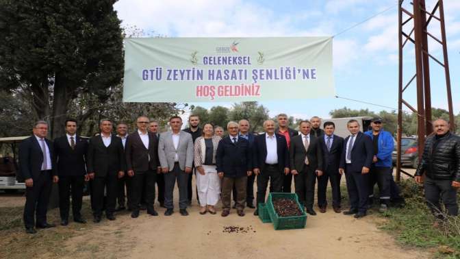 GTÜ’de 4. Geleneksel Zeytin Hasadı Şenliği Gerçekleştirildi