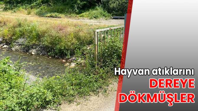 Hayvan atıklarını dereye dökmüşler