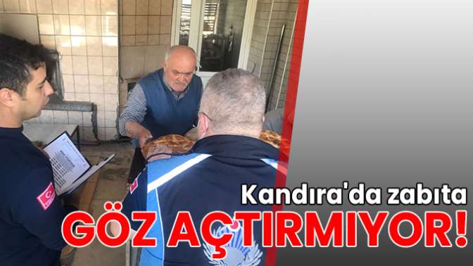 Kandırada zabıta göz açtırmıyor!