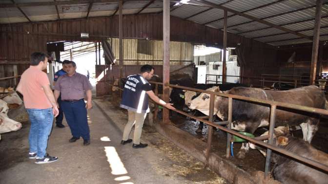 Kartepe’de kurban satışına sıkı denetim