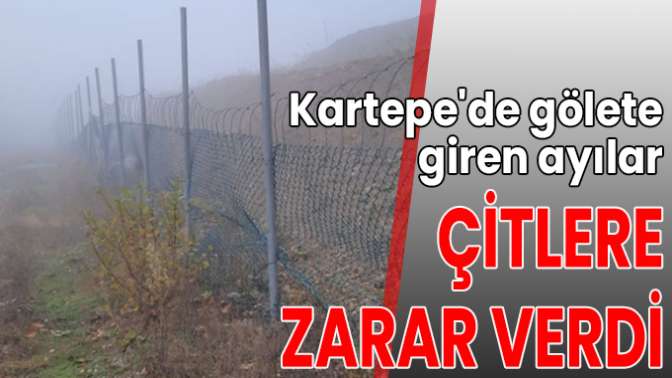 Kartepede gölete giren ayılar, çitlere zarar verdi