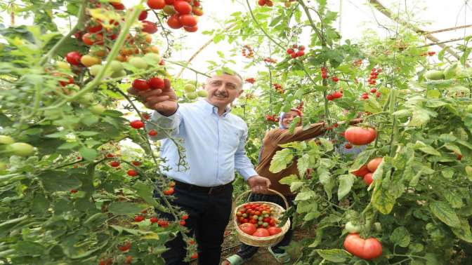 Kocaeli Büyükşehir Belediyesi’nden tarıma tam destek