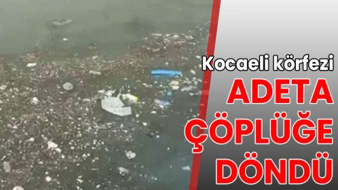 Kocaeli körfezi çöplüğe döndü