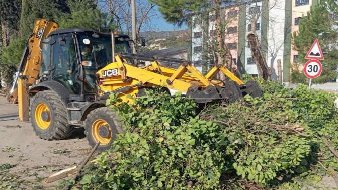 Körfez’de ağaçların bakımı sürüyor