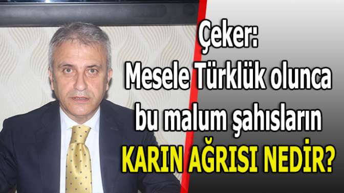 MİLLİ BİR MESELEDİR