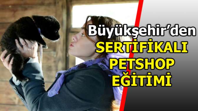 Petshop sertifika eğitimi