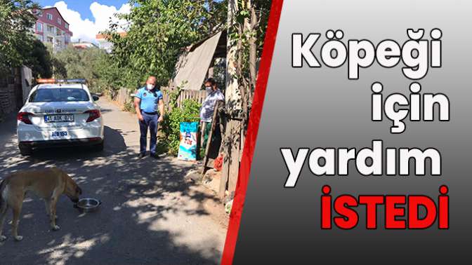 Sahiplendiği köpeğin maması Kocaeli Büyükşehir’den