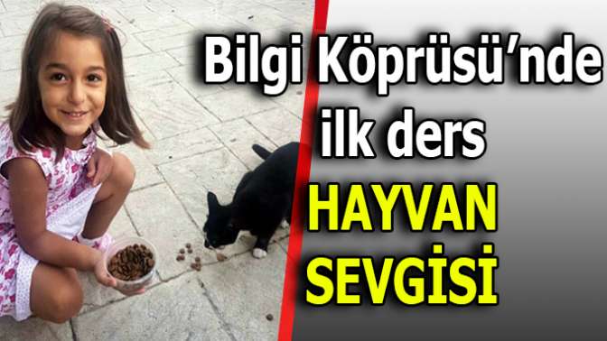 SEVGİ, SAYGI VE SABIR