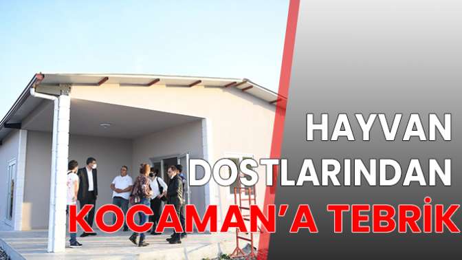 SOKAK HAYVANLARI HAYATIN PARÇASIDIR