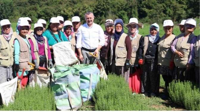 TABİP’te 2024 üretim sezonu tamamlandı