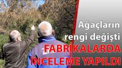 Ağaçların rengi değişti, fabrikalarda inceleme yapıldı