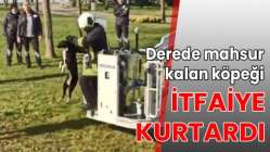 Derede mahsur kalan köpeği itfaiye kurtardı