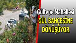 GÜL GİBİ GÜLTEPE