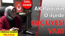 Kaç üye var?