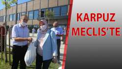 Karpuz Meclis'te