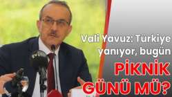 Vali Yavuz: Türkiye yanıyor, bugün piknik günü mü?