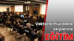 Vektörle mücadele ekiplerine eğitim