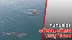 Yunuslar görsel şölen oluşturdu