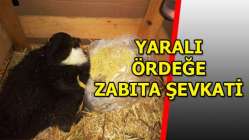 Zabıta sevindirdi