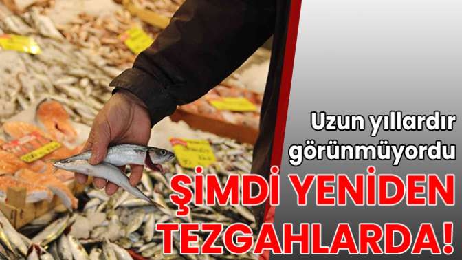 Uzun yıllardır görünmüyordu, yeniden tezgahları şenlendirmeye başladı