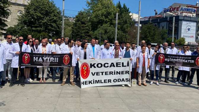 Veterinerler iş bıraktı! Bıçak kemiğe dayandı